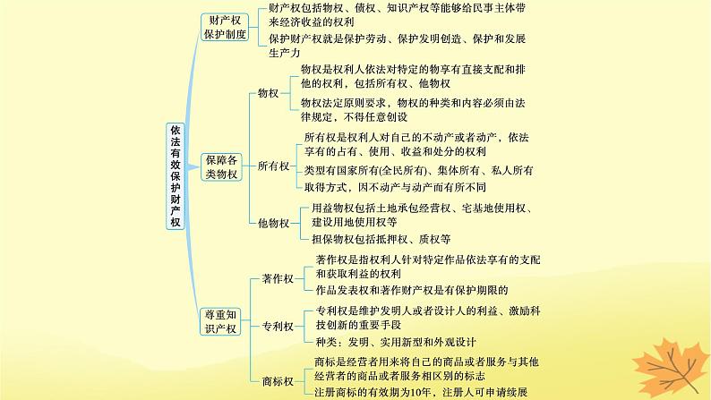 适用于新教材2024版高考政治一轮总复习第一单元民事权利与义务第2课依法有效保护财产权课件部编版选择性必修2第3页