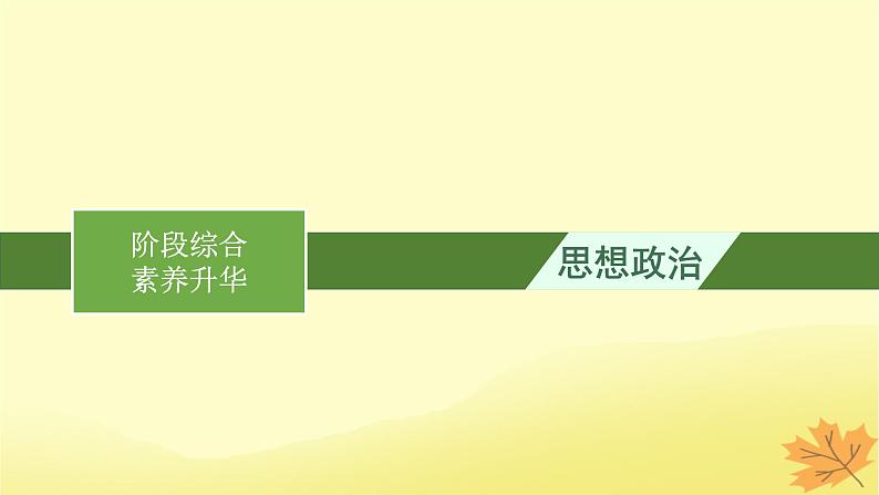 适用于新教材2024版高考政治一轮总复习阶段综合素养升华课件部编版选择性必修1第1页