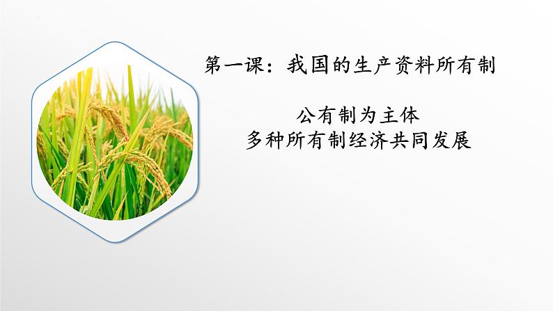 1.1公有制为主体 多种所有制经济共同发展 课件-2022-2023学年高中政治统编版必修二经济与社会第1页