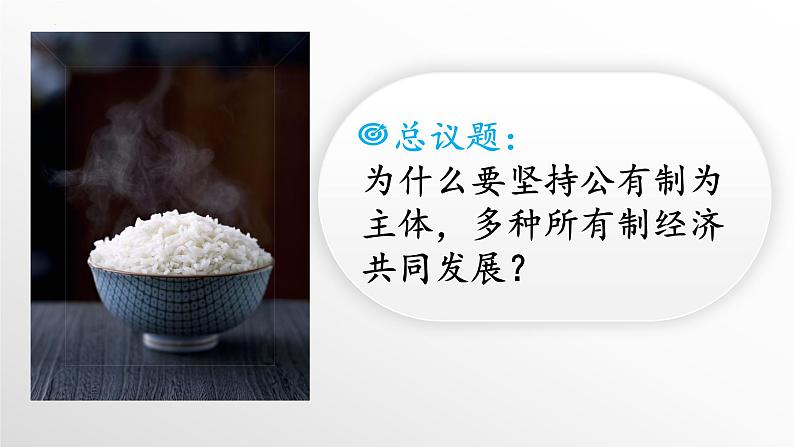 1.1公有制为主体 多种所有制经济共同发展 课件-2022-2023学年高中政治统编版必修二经济与社会第2页