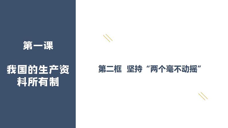 1.2坚持“两个毫不动摇”课件-2023-2024学年高中政治统编版必修二经济与社会02