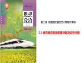 2.1使市场在资源配置中起 决定性作用 课件-2022-2023学年高中政治统编版必修二经济与社会