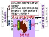 2.2+更好发挥政府作用+课件-2022-2023学年高中政治统编版必修二经济与社会