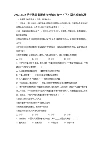 2022-2023学年陕西省渭南市韩城市高一（下）期末政治试卷（含解析）