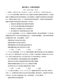 课时训练34 主要的国际组织-2024届高考政治一轮复习统编版选择性必修一当代国际政治与经济