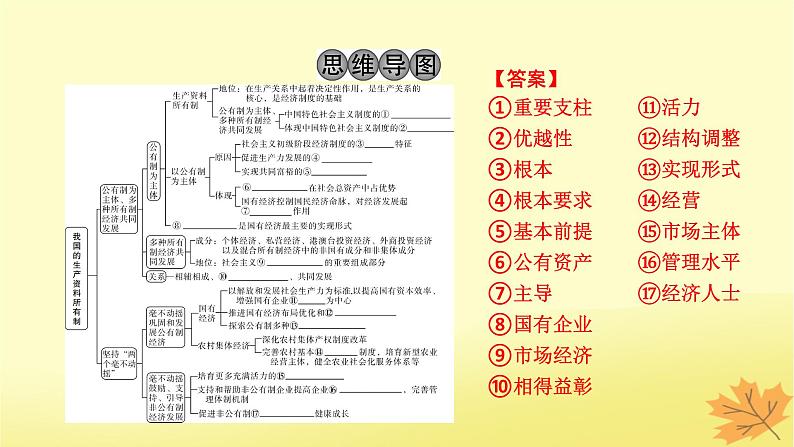 2024版高考政治一轮总复习必修2第一课我国的生产资料所有制课件第3页