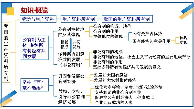 第一课 我国的生产资料所有制-2024年高考政治一轮复习课件（统编版必修2）第7页