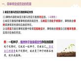 高中政治统编版选择性必修三10.1不作简单肯定或否定课件PPT