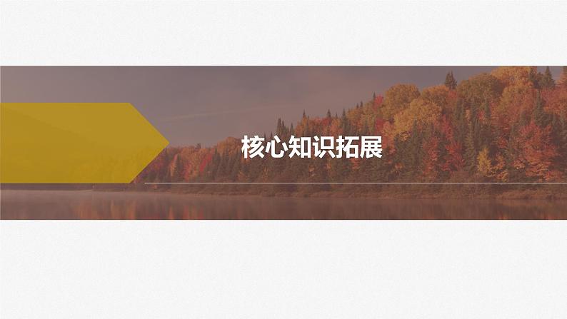 2023-2024学年思想政治部编版必修1  综合提升课件PPT第5页