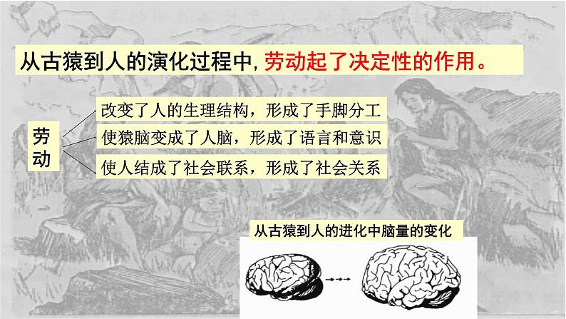 5.1 社会历史的本质 课件-2023-2024学年高中政治统编版必修四哲学与文化第6页