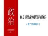 8.3 区域性国际组织 课件-2023-2024学年高中政治统编版选择性必修一当代国际政治与经济