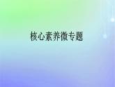 廣西專版2023_2024學(xué)年新教材高中政治核心素養(yǎng)微專題課件部編版必修2