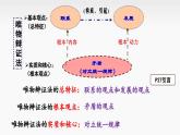 3.3 唯物辩证法的实质与核心 课件-高中政治统编版必修4