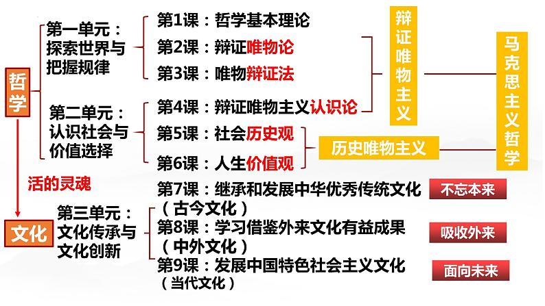 8.1 文化的民族性与多样性 课件-高中政治统编版必修4第3页