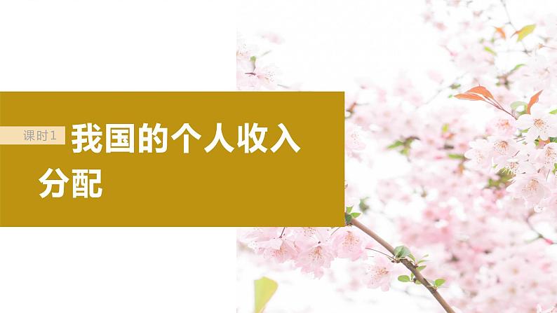 2024届高考政治一轮复习（部编版江苏专用）必修2经济与社会第八课课时1我国的个人收入分配课件05