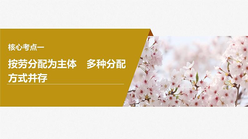 2024届高考政治一轮复习（部编版江苏专用）必修2经济与社会第八课课时1我国的个人收入分配课件07