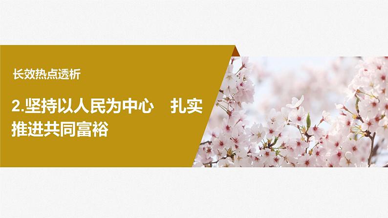 2024届高考政治一轮复习（部编版江苏专用）必修2经济与社会阶段提升复习二经济与社会课件04