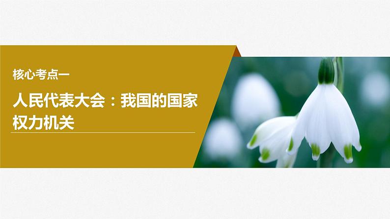 2024届高考政治一轮复习（部编版江苏专用）必修3政治与法治第十三课我国的根本政治制度课件第6页