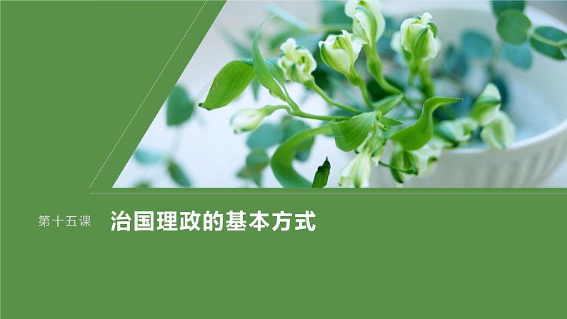 2024届高考政治一轮复习（部编版江苏专用）必修3政治与法治第十五课治国理政的基本方式课件第1页