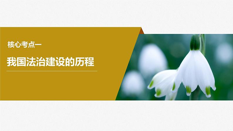 2024届高考政治一轮复习（部编版江苏专用）必修3政治与法治第十五课治国理政的基本方式课件第6页
