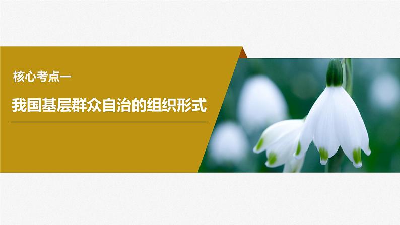 2024届高考政治一轮复习（部编版江苏专用）必修3政治与法治第十四课课时3基层群众自治制度课件04