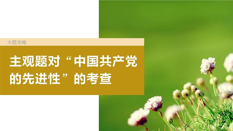 2024届高考政治一轮复习（部编版江苏专用）必修3政治与法治第十课大题攻略主观题对“中国共产党的先进性”的考查课件第2页