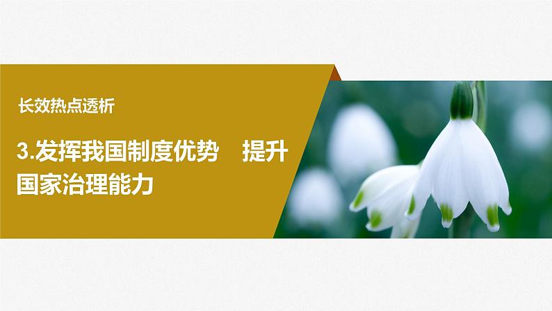 2024届高考政治一轮复习（部编版江苏专用）必修3政治与法治阶段提升复习三坚持党的领导、人民当家作主、依法治国有机统一课件第4页