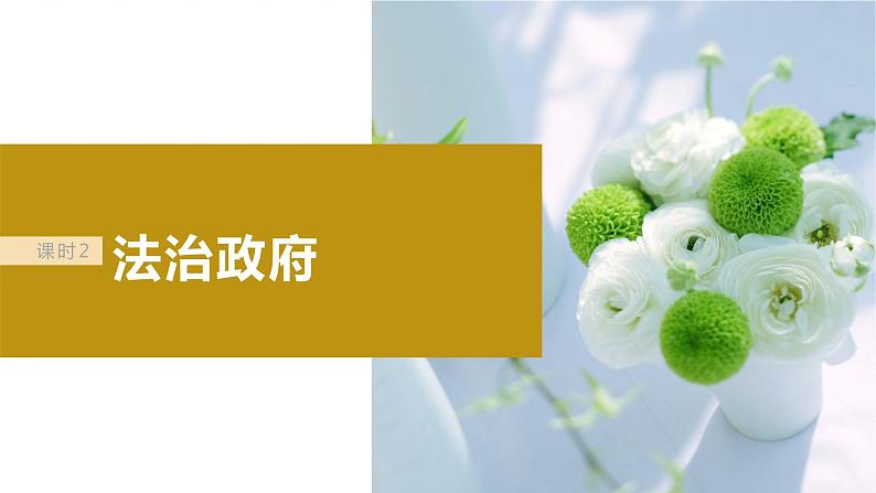 2024届高考政治一轮复习（部编版江苏专用）必修3政治与法治第十六课课时2法治政府课件02