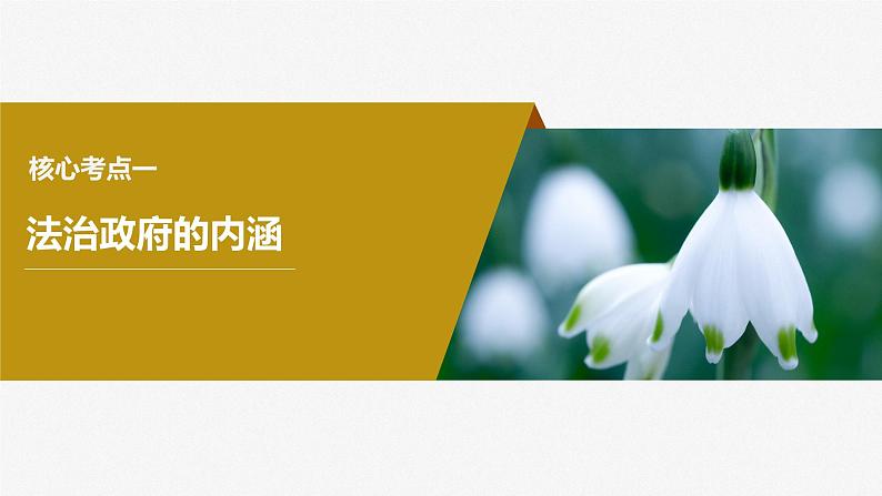 2024届高考政治一轮复习（部编版江苏专用）必修3政治与法治第十六课课时2法治政府课件04