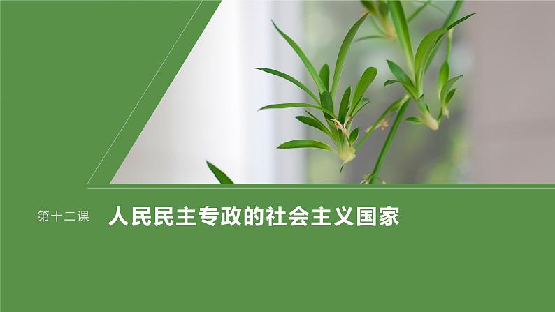 2024届高考政治一轮复习（部编版江苏专用）必修3政治与法治第十二课大题攻略主观题对“全过程人民民主”的考查课件01