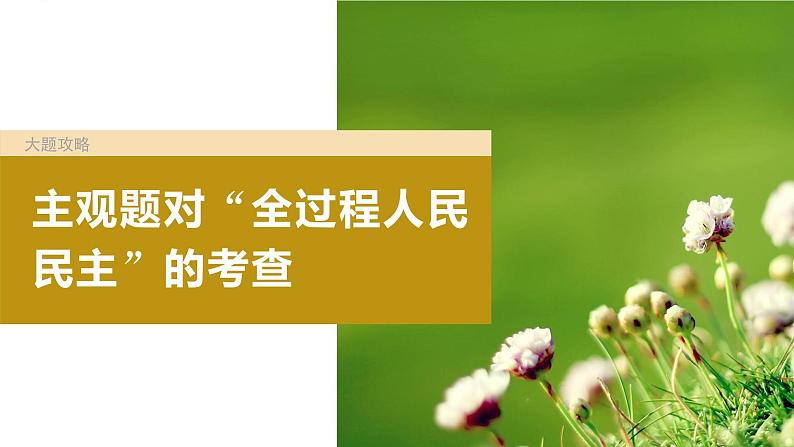 2024届高考政治一轮复习（部编版江苏专用）必修3政治与法治第十二课大题攻略主观题对“全过程人民民主”的考查课件02