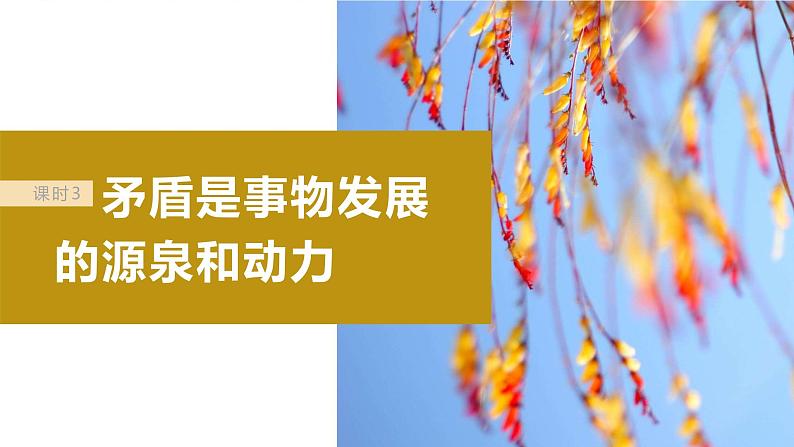 2024届高考政治一轮复习（部编版江苏专用）必修4哲学与文化第二十课课时3矛盾是事物发展的源泉和动力课件02