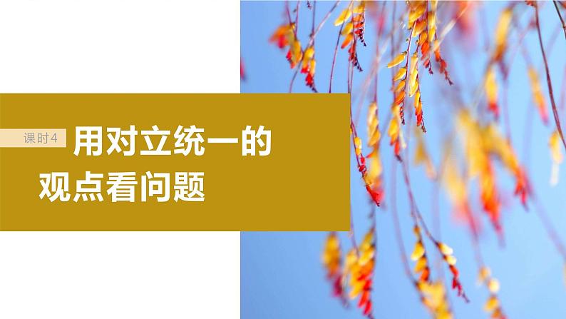 2024届高考政治一轮复习（部编版江苏专用）必修4哲学与文化第二十课课时4用对立统一的观点看问题课件02