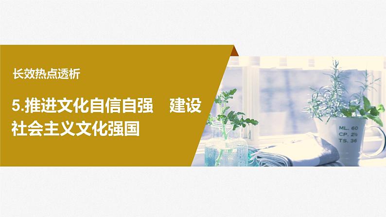 2024届高考政治一轮复习（部编版江苏专用）必修4哲学与文化阶段提升复习五文化传承与文化创新课件04