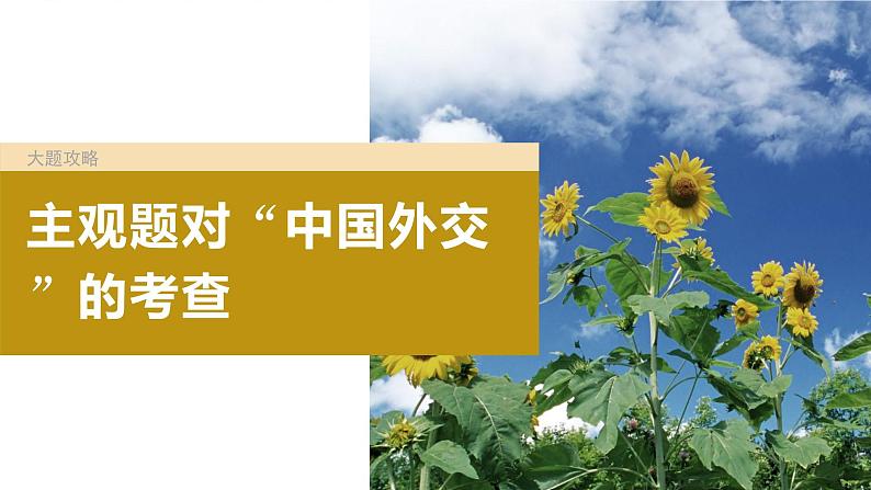 2024届高考政治一轮复习（部编版江苏专用）选择性必修1当代国际政治与经济第二十八课大题攻略主观题对“中国外交”的考查课件第2页