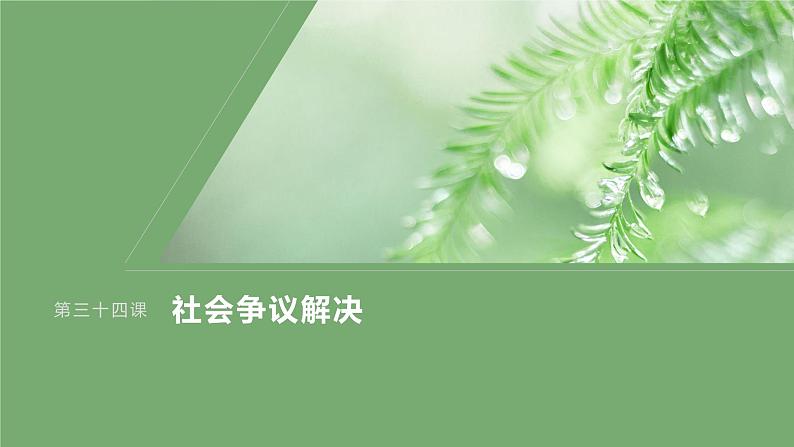 2024届高考政治一轮复习（部编版江苏专用）选择性必修2法律与生活第三十四课大题攻略主观题对“维护社会公平正义”的考查课件01