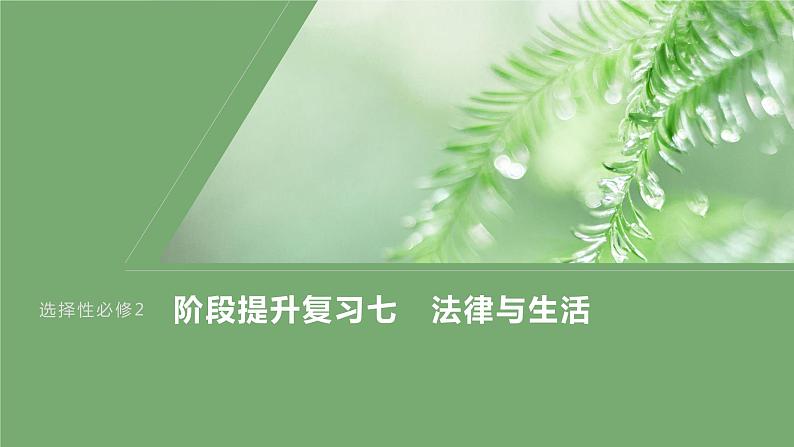 2024届高考政治一轮复习（部编版江苏专用）选择性必修2法律与生活阶段提升复习七法律与生活课件01