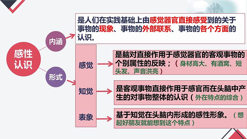 4.1 人的认识从何而来【最新版】（经典课件）-2023-2024学年高二政治同步课堂高效教学经典课件（统编版必修4）第3页