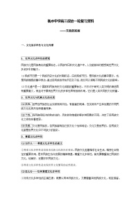 06 衡水中学高三政治一轮复习资料——文化的发展