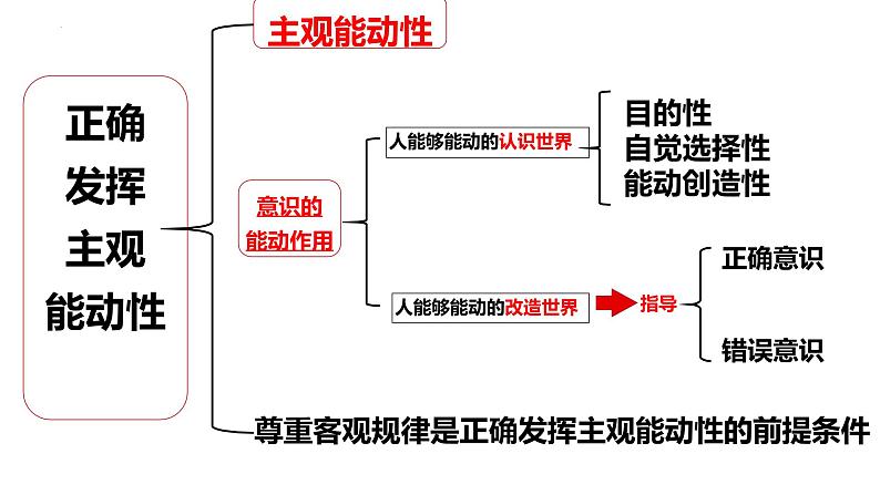 意识的能动作用微专题第3页