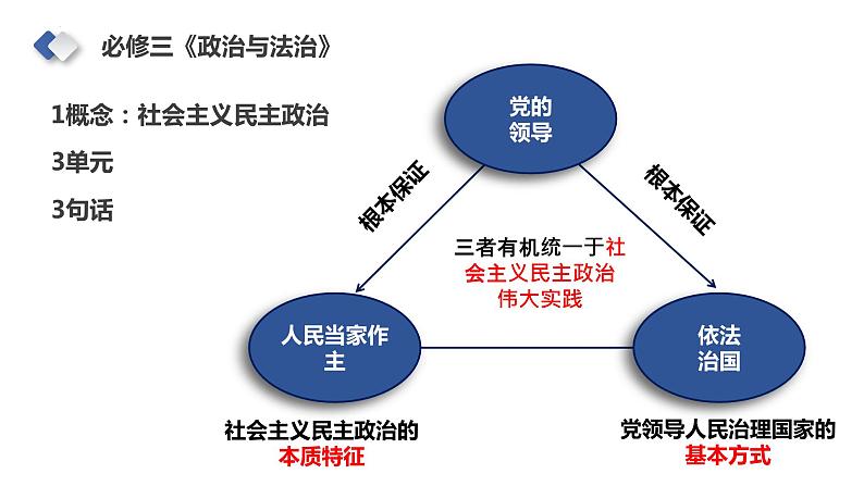 第七课 治国理政的基本方式 课件-2024届高考政治一轮复习统编版必修三政治与法治04