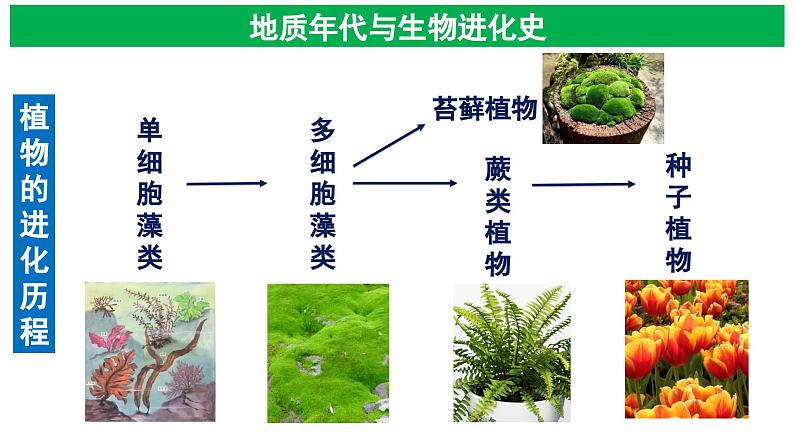 【核心素养目标】统编版高中政治必修四 4.3.2 2023-2024世界是永恒发展的 课件+教案+学案+同步练习（含答案）+视频03