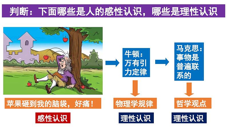 【核心素养目标】统编版高中政治必修四 4.4.1 2023-2024人的认识从何而来  课件+教案+学案+同步练习（含答案）+视频04