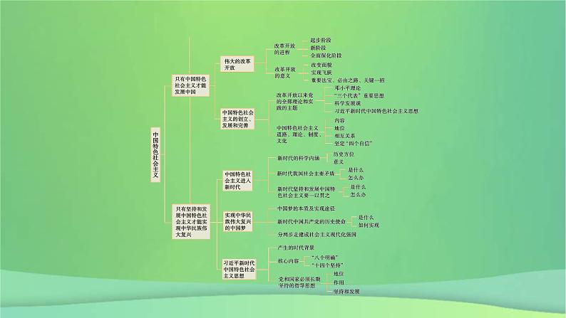 新高考政治一轮总复习阶段性整合提升课件1 中国特色社会主义（含解析）04