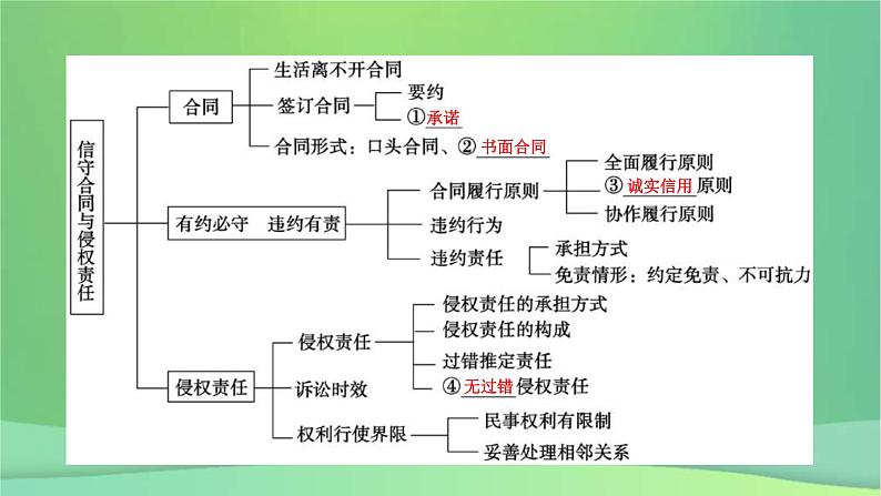 新高考政治一轮总复习课件第2课订约履约以诚信为本侵权责任与权利界限（含解析）07