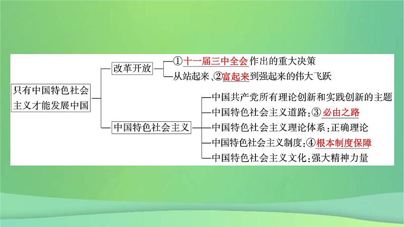 新高考政治一轮总复习课件第三课只有中国特色社会主义才能发展中国（含解析）07