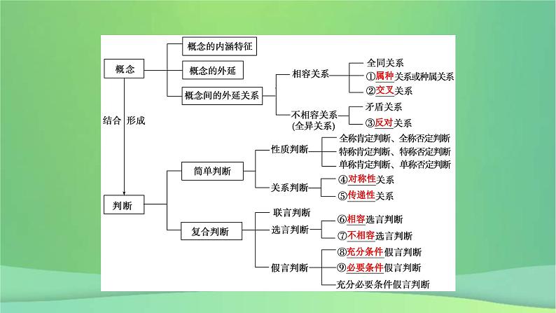 新高考政治一轮总复习课件遵循逻辑思维规则第2课概念与判断（含解析）第7页