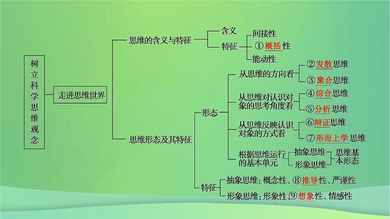 新高考政治一轮总复习课件课件第1课树立科学思维观念（含解析）07