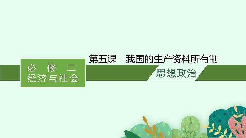 新高考政治一轮复习练习课件第一课 我国的生产资料所有制（含解析）01