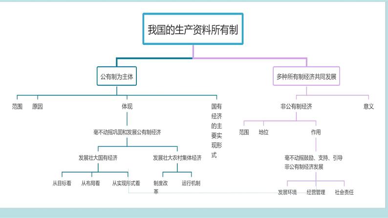 新高考政治二轮复习分层练习课件专题03生产资料所有制与经济体制（含解析）第7页